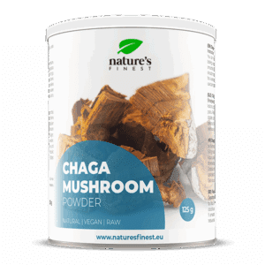 Hongo chaga en polvo