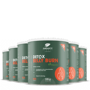 Detox Belly Burn 6x paquete