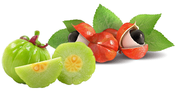 Guaraná y Garcinia Cambogia