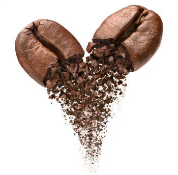 Granos de café arábica