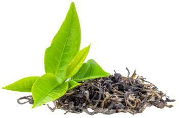Té verde