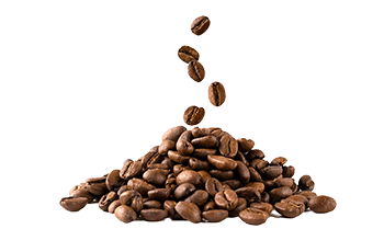 Café instantáneo (Coffea arabica L.)