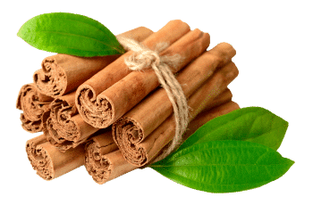 canela de Ceilán
