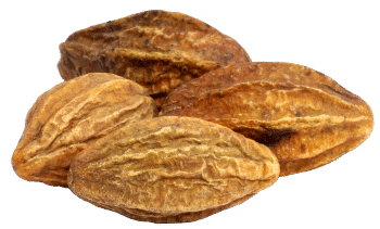 Extracto de Haritaki