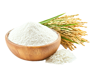 Harina de arroz (Oryza sativa)