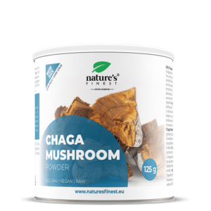 Hongo chaga en polvo